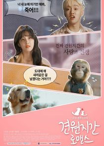 Monkey and Dog Romance poster