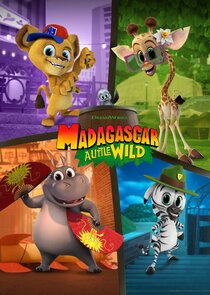 Madagascar: A Little Wild poster