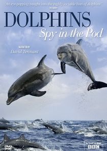 Dolphins: Spy in the Pod poster