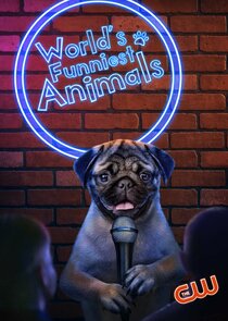 World's Funniest Animals poster