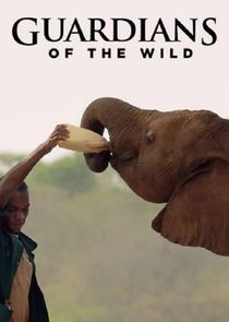 Guardians of the Wild poster
