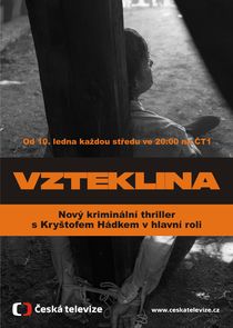 Vzteklina poster