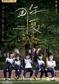 Dim Light in the Shadow poster