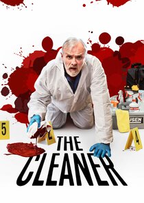 The Cleaner poster