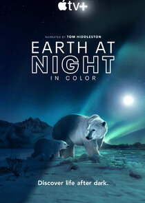 Earth at Night in Color poster