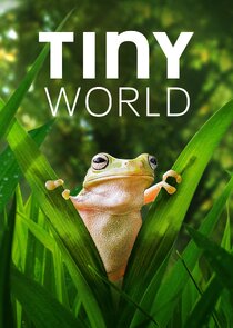 Tiny World poster