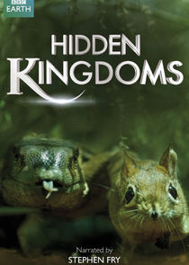 Hidden Kingdoms poster
