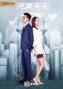 Perfect Partner poster