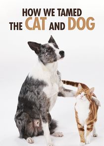How We Tamed the Cat and Dog poster