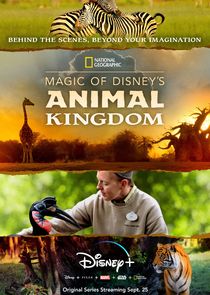 Magic of Disney's Animal Kingdom poster