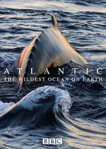 Atlantic: The Wildest Ocean on Earth poster