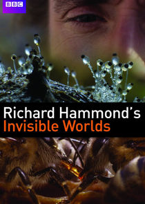 Richard Hammond's Invisible Worlds poster