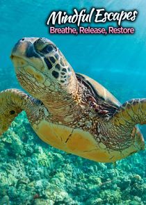 Mindful Escapes: Breathe, Release, Restore poster