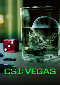 CSI: Vegas poster