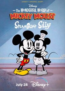 The Wonderful World of Mickey Mouse poster
