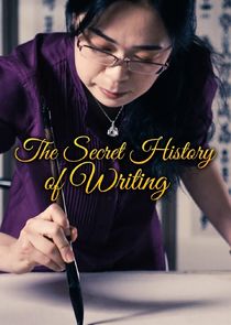 The Secret History of Writing poster