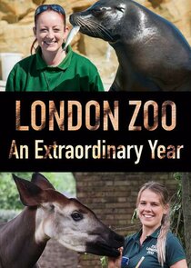 London Zoo: An Extraordinary Year poster