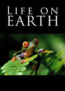 Life on Earth poster