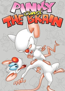 Pinky and the Brain poster