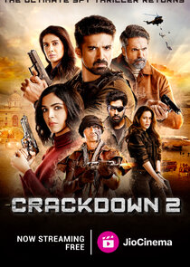 Crackdown poster