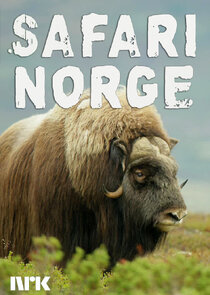 Safari Norge poster