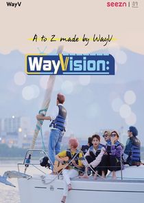 WayVision poster
