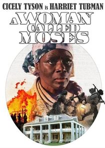 A Woman Called Moses poster