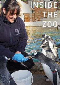 Inside the Zoo poster