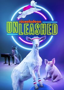 Unleashed poster