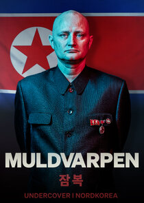 Muldvarpen - Undercover i Nordkorea poster