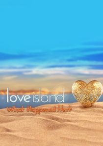 Love Island: What Happened Next? poster