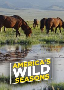 America's Wild Seasons poster