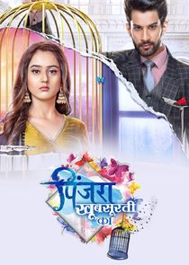 Pinjara Khubsurti Ka poster