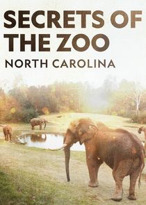 Secrets of the Zoo: North Carolina poster
