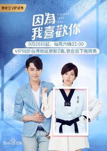 Falling Into You poster