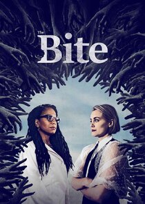 The Bite poster