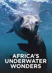 Africa's Underwater Wonders poster