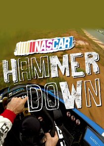 NASCAR Hammer Down poster