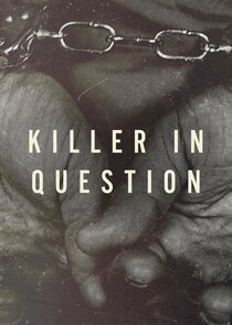 Killer in Question poster
