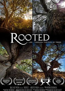 Rooted poster