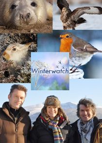 Winterwatch poster