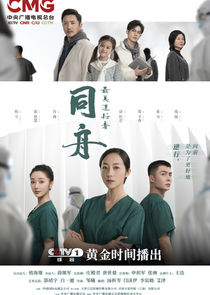 Heroes in Harm's Way poster