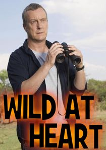 Wild at Heart poster