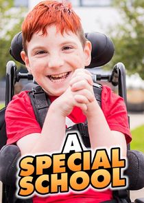 A Special School poster