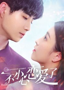 I Fell in Love By Accident poster