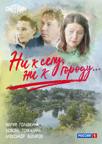 Ни к селу, ни к городу... poster