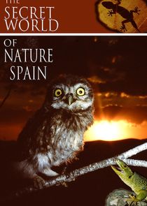 The Secret World of Nature: Spain poster