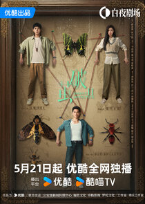 Insect Detective poster