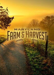 Maryland Farm & Harvest poster