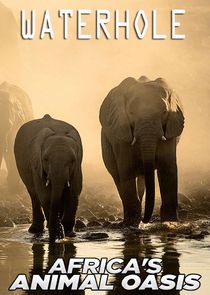 Waterhole: Africa's Animal Oasis poster